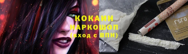 твердый Бронницы