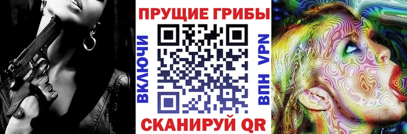 Галлюциногенные грибы Psilocybe  Кинель 